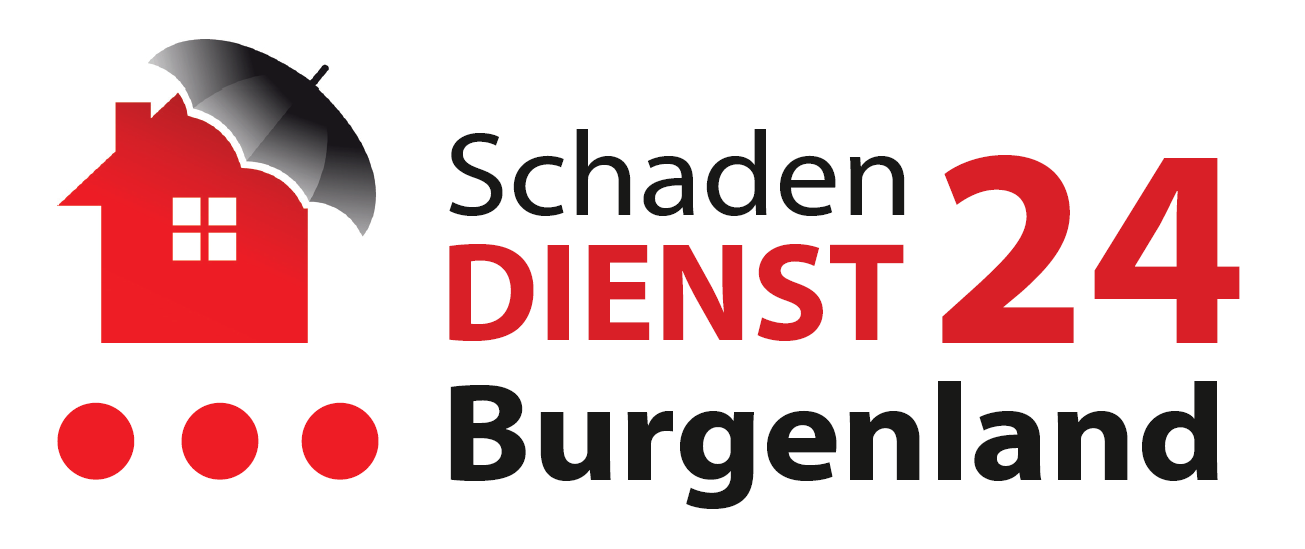 Schadendienst24 Burgenland Logo